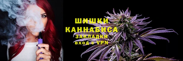 мдпв Дмитриев