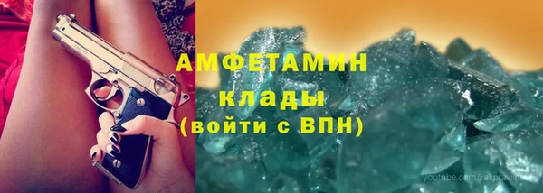 мдпв Дмитриев