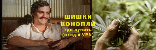 мдпв Дмитриев