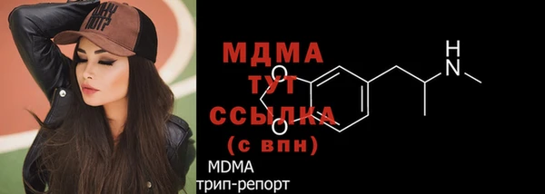 мдпв Дмитриев