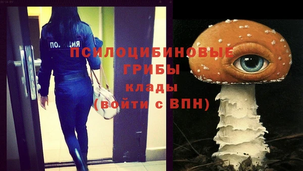 кристаллы Дмитров